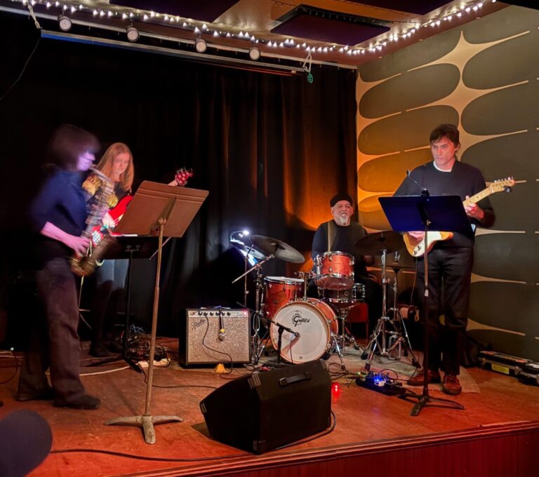 PUZZLE HOUSE -Azita Yousefi, Mary Halm, Michael Zerang, Bill MacKay. Photo by Mindy Meyers. 2025